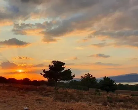 Zirimiri En Herreros, Soria Эррерос