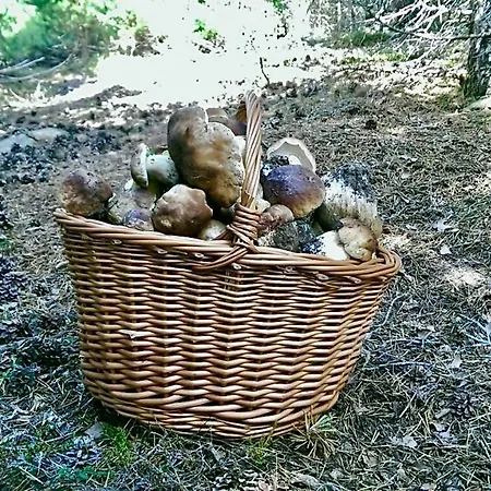 Zirimiri En Herreros, Soria