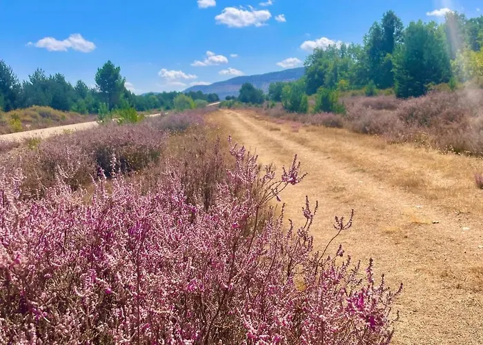 Дом отдыха Zirimiri En Herreros, Soria Эррерос