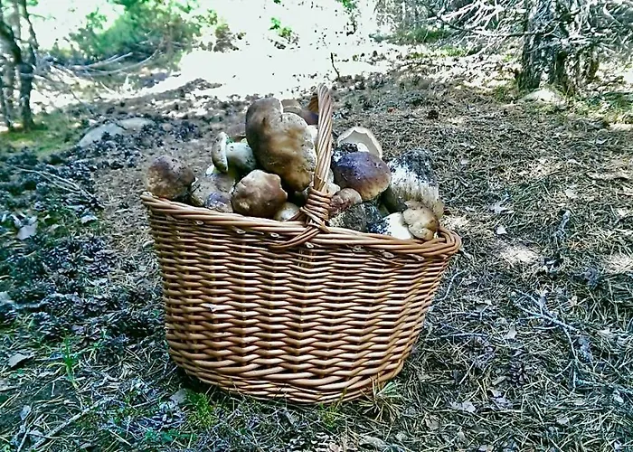 Zirimiri En Herreros, Soria